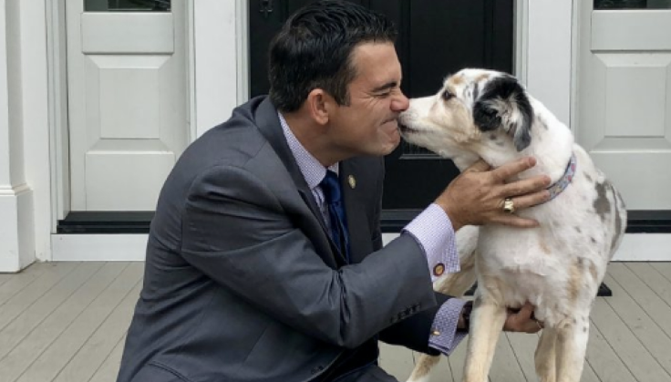 From idea to a high-growth pet registration platform.